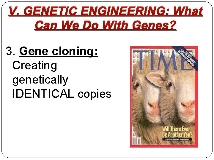 V. GENETIC ENGINEERING: What Can We Do With Genes? 3. Gene cloning: Creating genetically