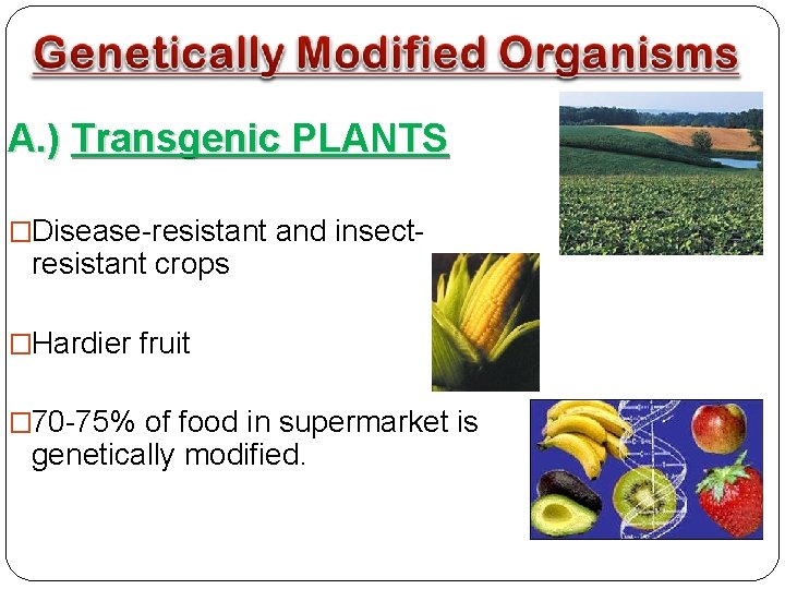 A. ) Transgenic PLANTS �Disease-resistant and insect- resistant crops �Hardier fruit � 70 -75%