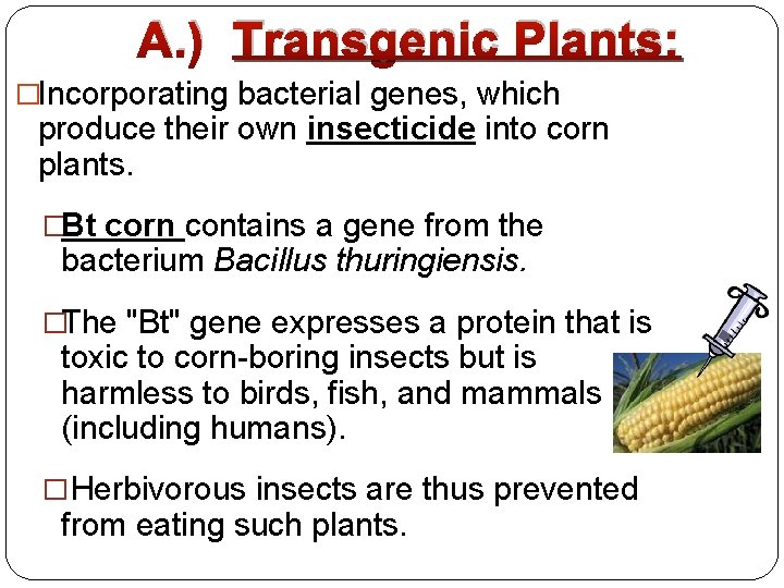 A. ) Transgenic Plants: �Incorporating bacterial genes, which produce their own insecticide into corn