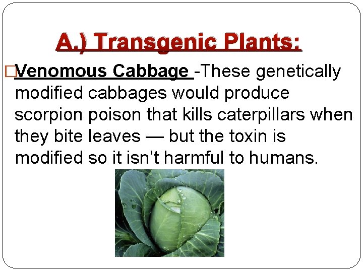A. ) Transgenic Plants: �Venomous Cabbage -These genetically modified cabbages would produce scorpion poison