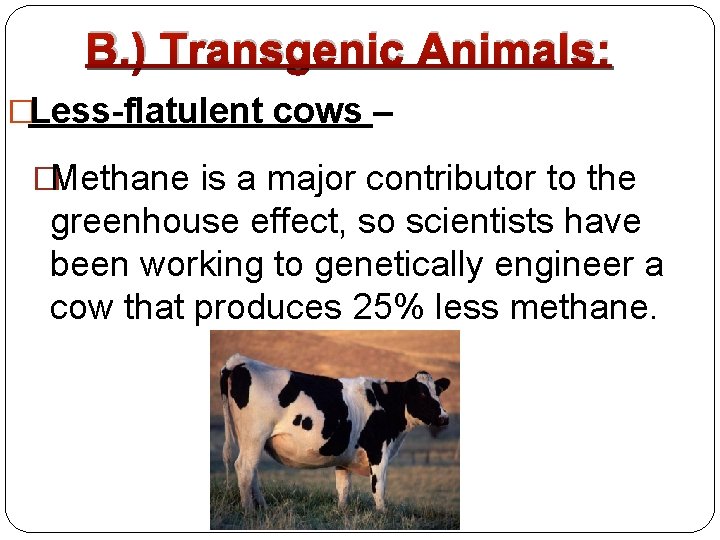 B. ) Transgenic Animals: �Less-flatulent cows – �Methane is a major contributor to the