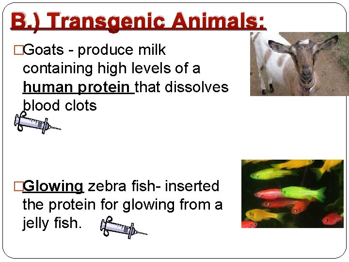 B. ) Transgenic Animals: �Goats - produce milk containing high levels of a human