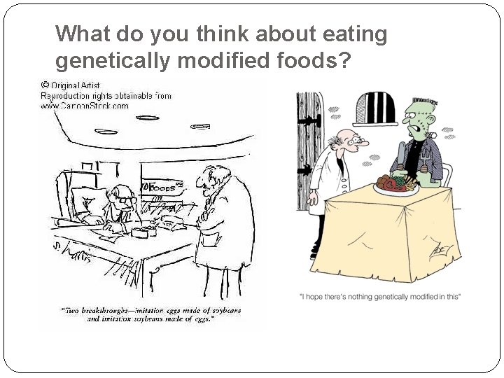 What do you think about eating genetically modified foods? 