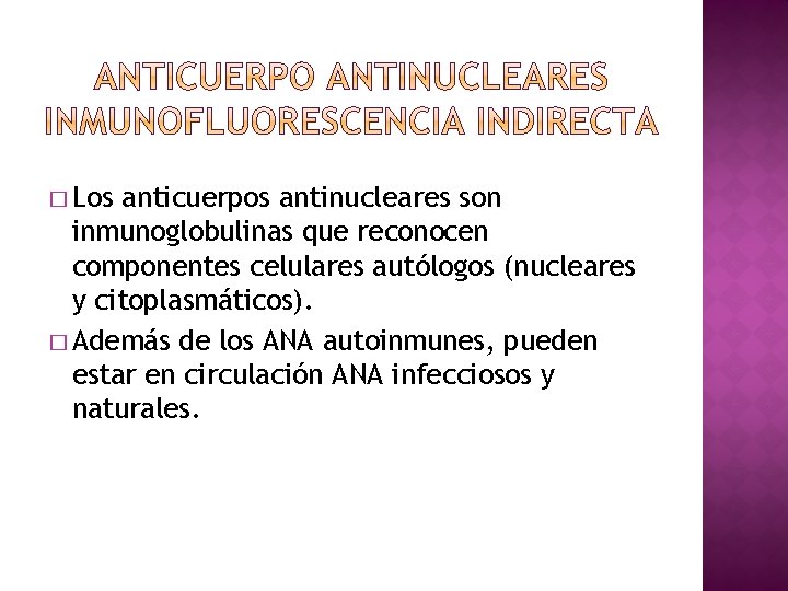� Los anticuerpos antinucleares son inmunoglobulinas que reconocen componentes celulares autólogos (nucleares y citoplasmáticos).