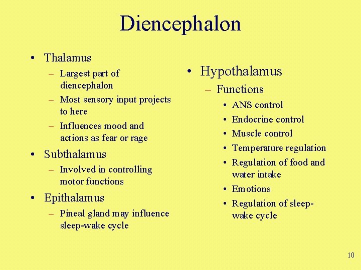 Diencephalon • Thalamus – Largest part of diencephalon – Most sensory input projects to Diencephalon • Thalamus – Largest part of diencephalon – Most sensory input projects to