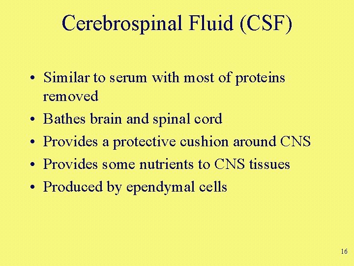 Cerebrospinal Fluid (CSF) • Similar to serum with most of proteins removed • Bathes Cerebrospinal Fluid (CSF) • Similar to serum with most of proteins removed • Bathes