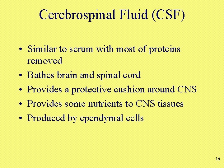 Cerebrospinal Fluid (CSF) • Similar to serum with most of proteins removed • Bathes