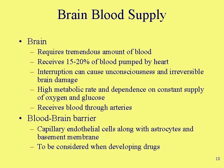 Brain Blood Supply • Brain – Requires tremendous amount of blood – Receives 15