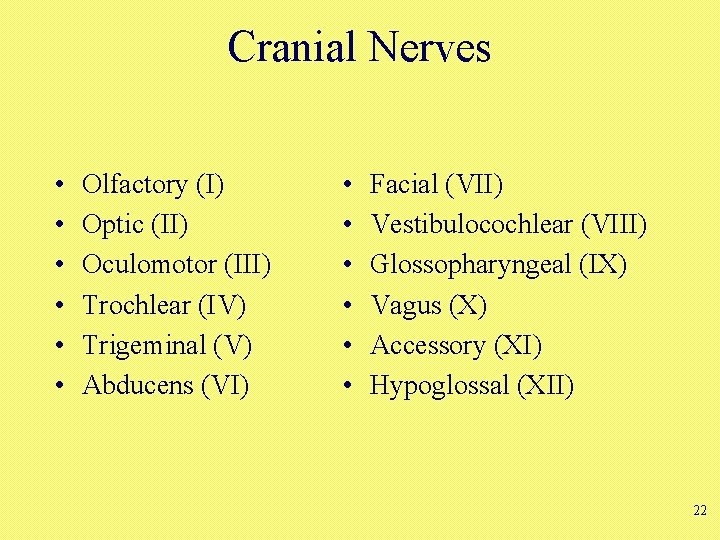 Cranial Nerves • • • Olfactory (I) Optic (II) Oculomotor (III) Trochlear (IV) Trigeminal