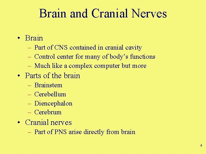 Brain and Cranial Nerves • Brain – Part of CNS contained in cranial cavity