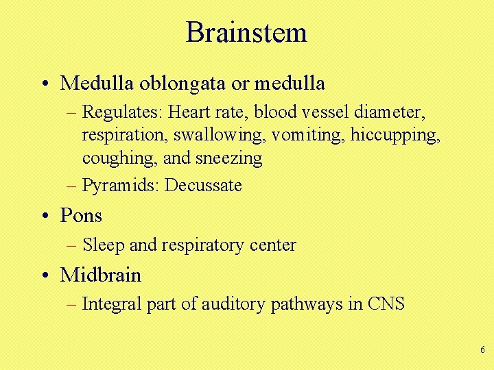 Brainstem • Medulla oblongata or medulla – Regulates: Heart rate, blood vessel diameter, respiration,