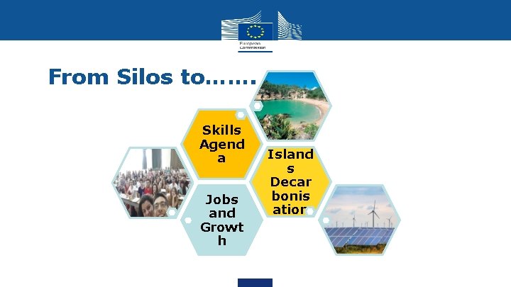 From Silos to……. Skills Agend a Jobs and Growt h Island s Decar bonis