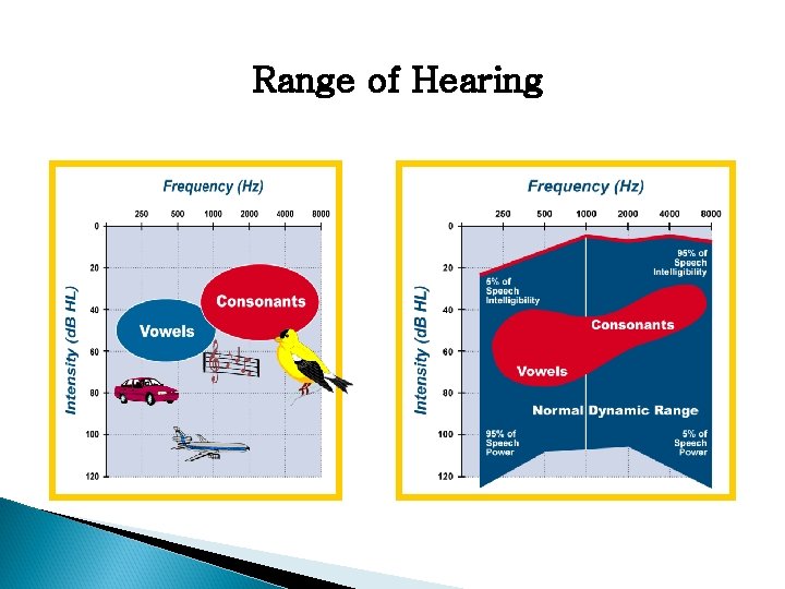 Range of Hearing 