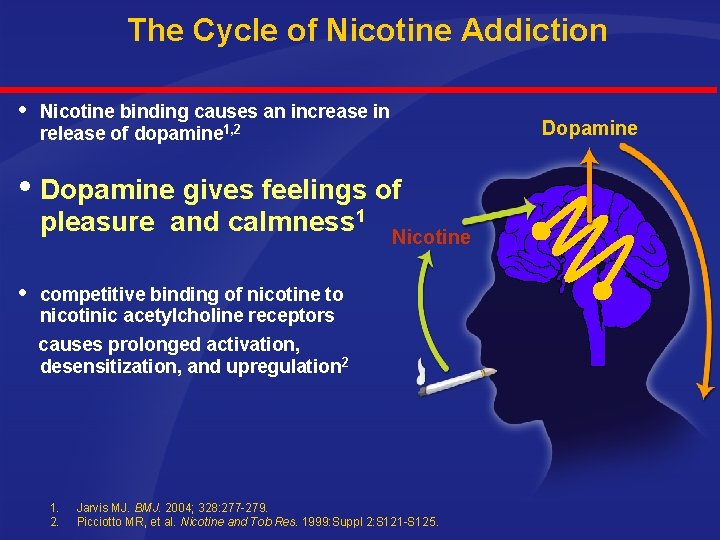 The Cycle of Nicotine Addiction Nicotine binding causes an increase in release of dopamine