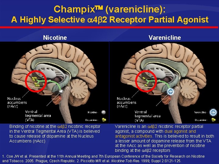 Champix (varenicline): A Highly Selective 4 2 Receptor Partial Agonist Nicotine Varenicline Binding of