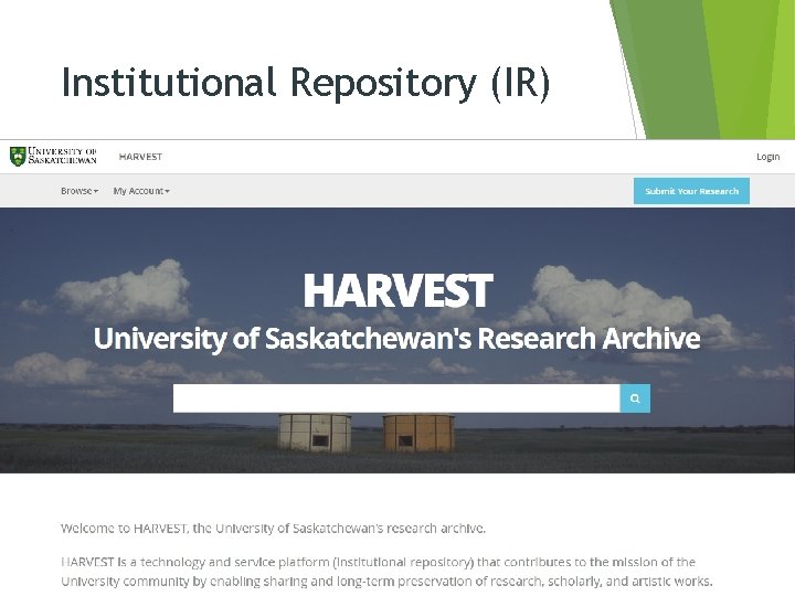 Institutional Repository (IR) 