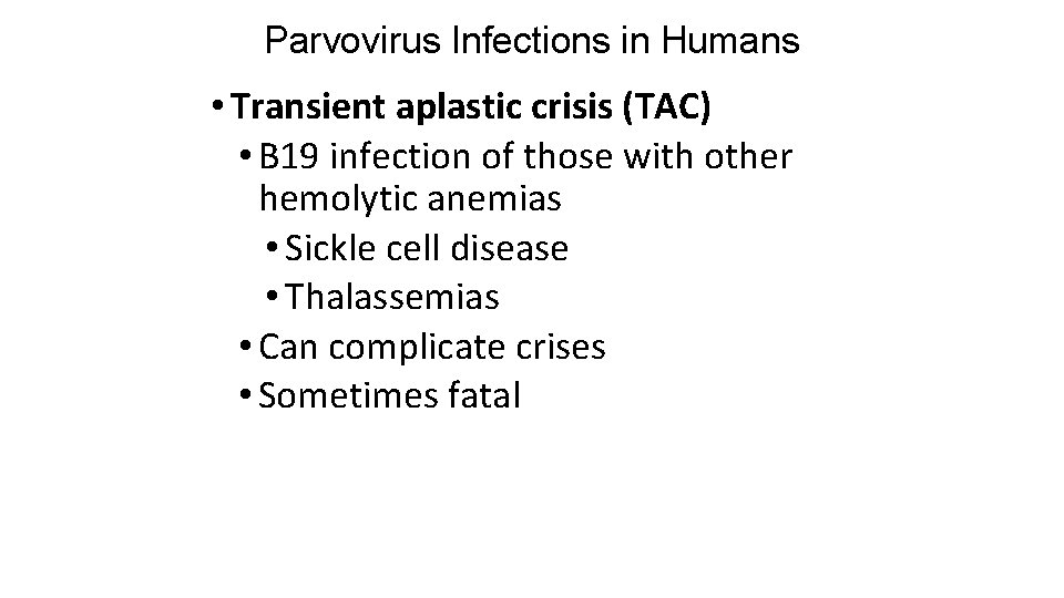 Parvovirus Infections in Humans • Transient aplastic crisis (TAC) • B 19 infection of