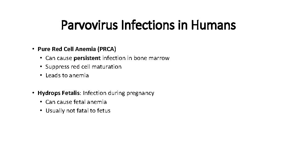 Parvovirus Infections in Humans • Pure Red Cell Anemia (PRCA) • Can cause persistent