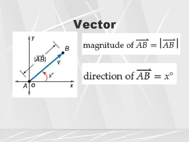 Vector 