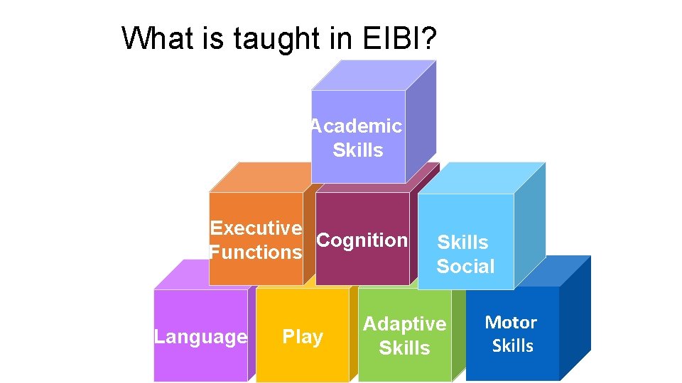 What is taught in EIBI? Academic Skills Executive Cognition Functions Language Play Skills Social