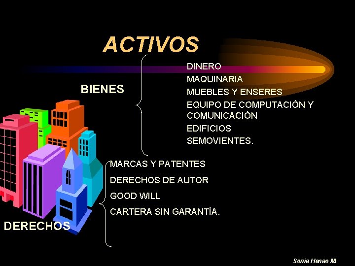 ACTIVOS BIENES DINERO MAQUINARIA MUEBLES Y ENSERES EQUIPO DE COMPUTACIÓN Y COMUNICACIÓN EDIFICIOS SEMOVIENTES.