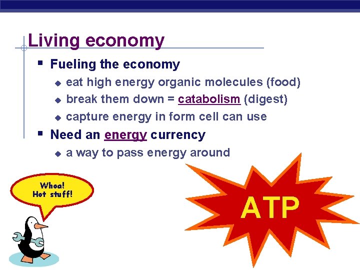Living economy § Fueling the economy u u u eat high energy organic molecules