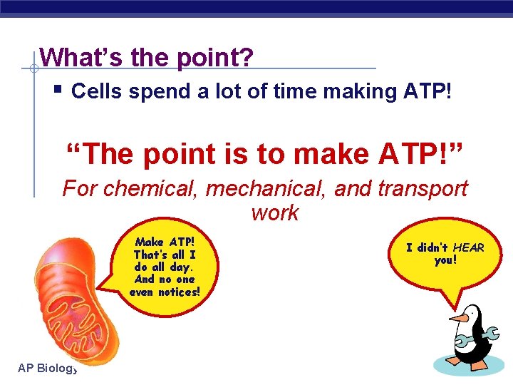 What’s the point? § Cells spend a lot of time making ATP! “The point