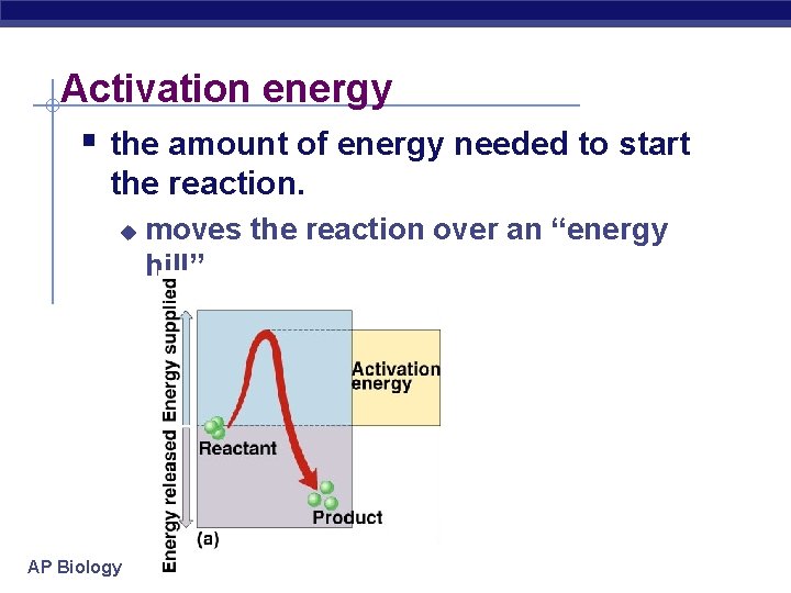 Activation energy § the amount of energy needed to start the reaction. u AP