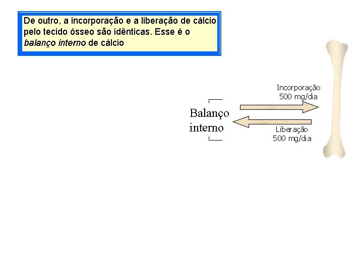 De outro, a incorporação e a liberação de cálcio pelo tecido ósseo são idênticas.