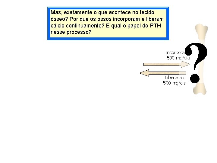 Mas, exatamente o que acontece no tecido ósseo? Por que os ossos incorporam e