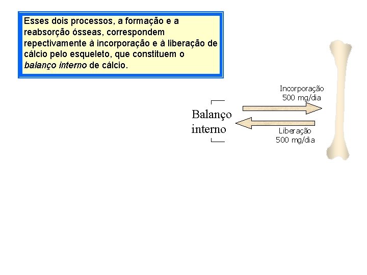 Esses dois processos, a formação e a reabsorção ósseas, correspondem repectivamente à incorporação e