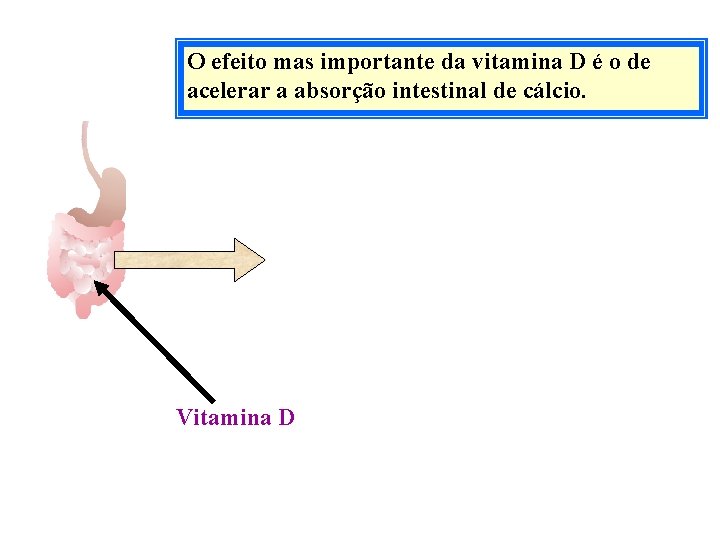 O efeito mas importante da vitamina D é o de acelerar a absorção intestinal