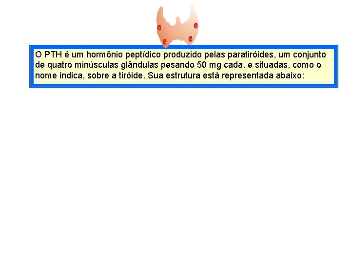 O PTH é um hormônio peptídico produzido pelas paratiróides, um conjunto de quatro minúsculas