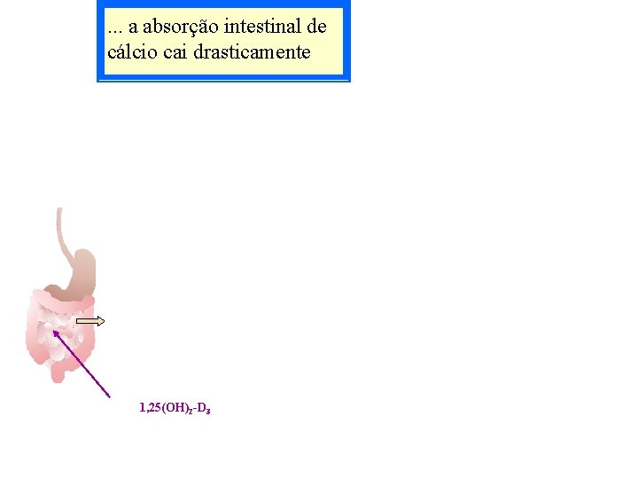 . . . a absorção intestinal de cálcio cai drasticamente 1, 25(OH)2 -D 3