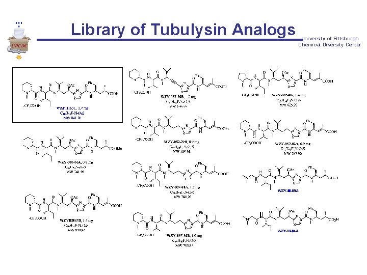 Library of Tubulysin Analogs University of Pittsburgh Chemical Diversity Center 