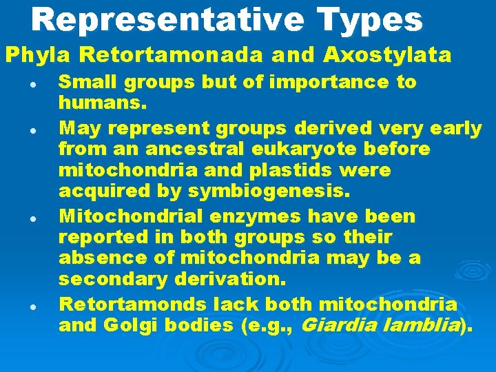 Representative Types Phyla Retortamonada and Axostylata l l Small groups but of importance to