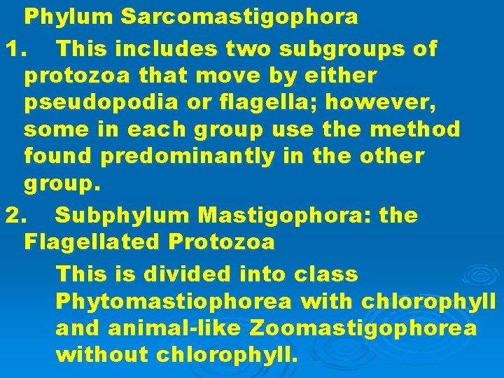 Phylum Sarcomastigophora 1. This includes two subgroups of protozoa that move by either pseudopodia