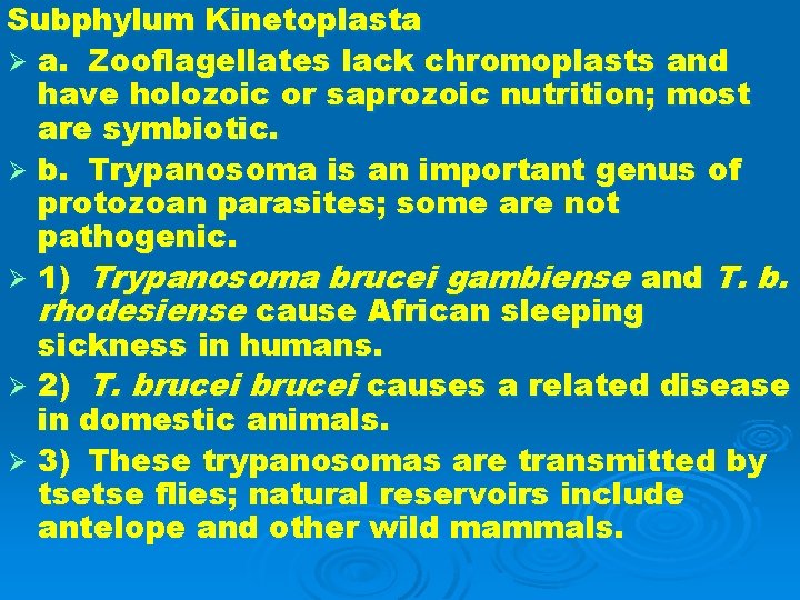 Subphylum Kinetoplasta Ø a. Zooflagellates lack chromoplasts and have holozoic or saprozoic nutrition; most