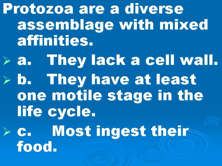 Protozoa are a diverse assemblage with mixed affinities. Ø a. They lack a cell