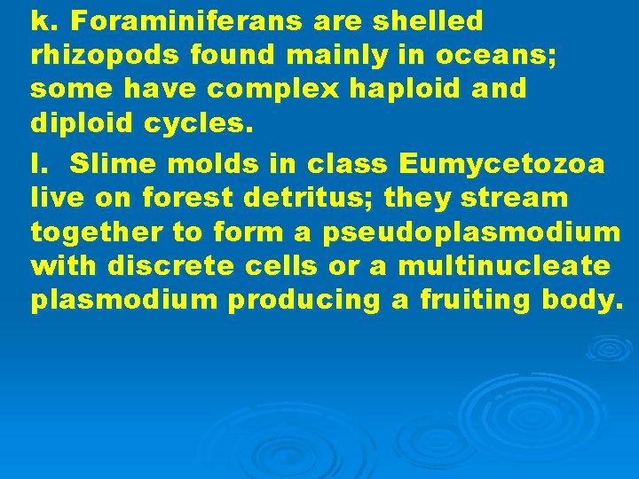 k. Foraminiferans are shelled rhizopods found mainly in oceans; some have complex haploid and