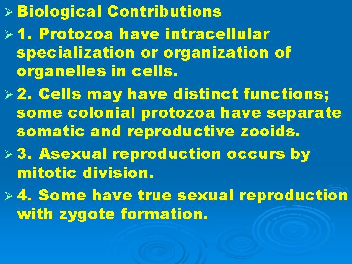 Ø Biological Contributions Ø 1. Protozoa have intracellular specialization or organization of organelles in