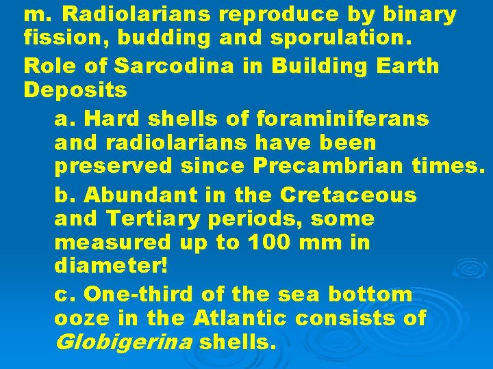 m. Radiolarians reproduce by binary fission, budding and sporulation. Role of Sarcodina in Building