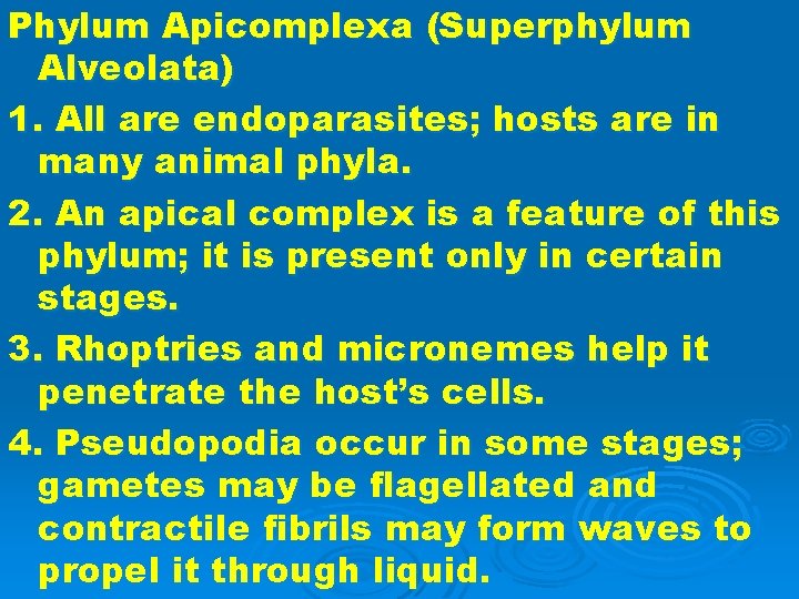 Phylum Apicomplexa (Superphylum Alveolata) 1. All are endoparasites; hosts are in many animal phyla.