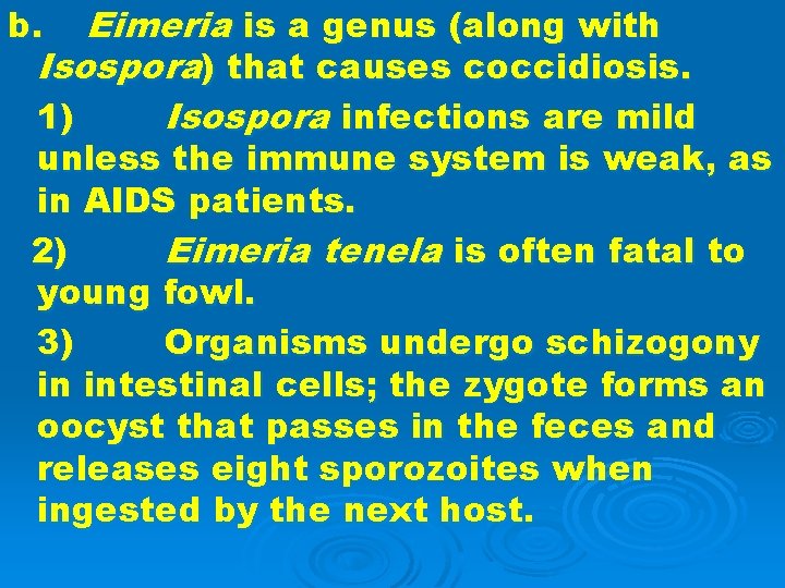 Eimeria is a genus (along with Isospora) that causes coccidiosis. 1) Isospora infections are