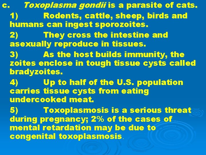 c. Toxoplasma gondii is a parasite of cats. 1) Rodents, cattle, sheep, birds and