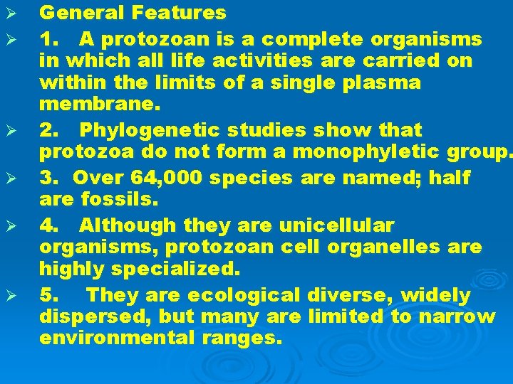 Ø Ø Ø General Features 1. A protozoan is a complete organisms in which