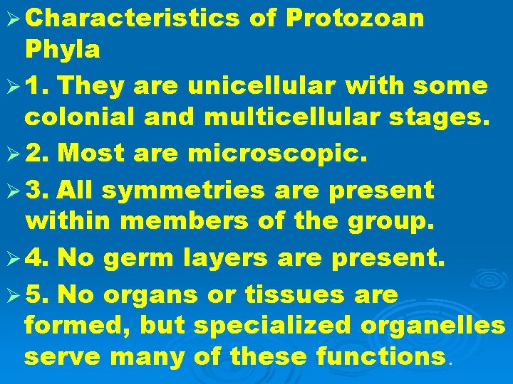 Ø Characteristics of Protozoan Phyla Ø 1. They are unicellular with some colonial and