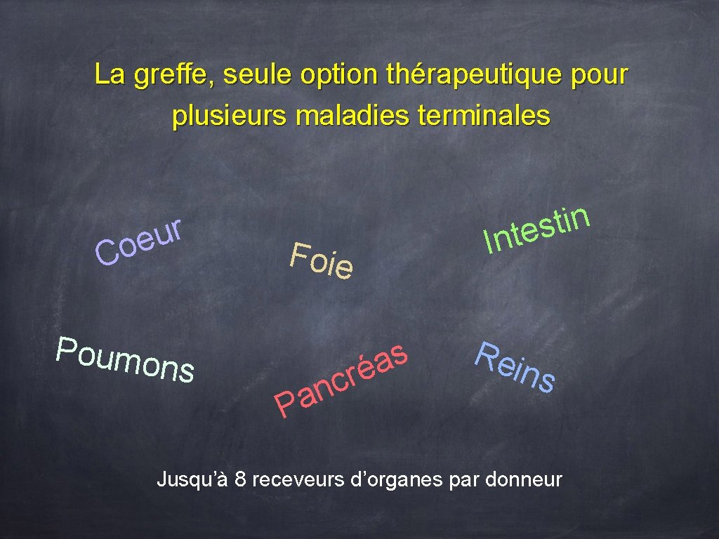 La greffe, seule option thérapeutique pour plusieurs maladies terminales r u e o C