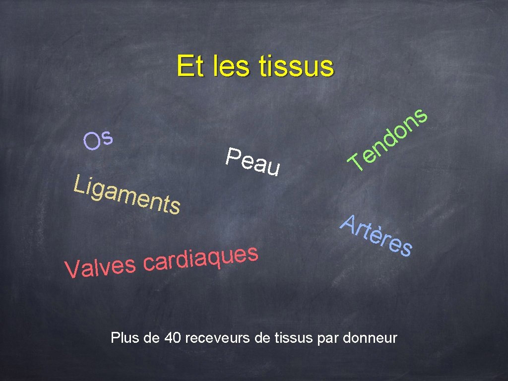Et les tissus Os Ligam e Peau nts s e u q a i