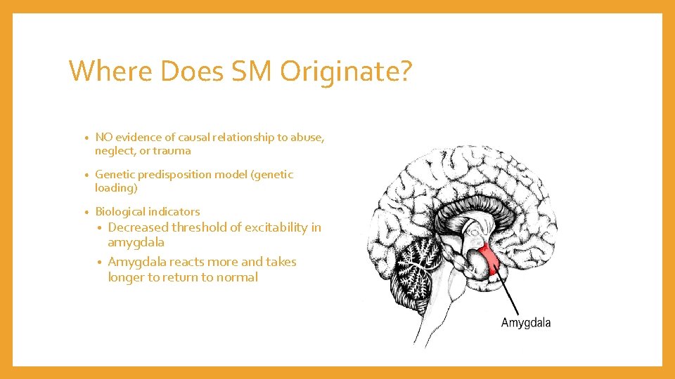 Where Does SM Originate? • NO evidence of causal relationship to abuse, neglect, or